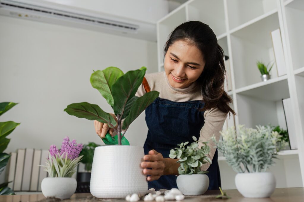 woman is planting a plant in a white pot as hobby and decorates her office